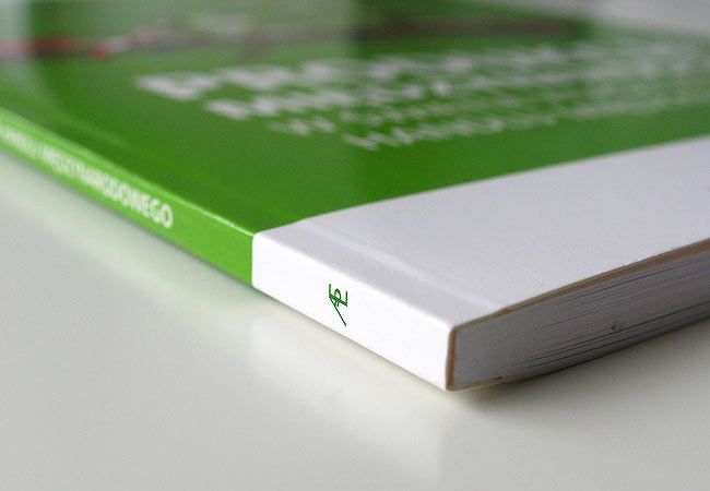 produkcja midzynarodowa, wydawnictwo, AE, UE, Akademia Ekonomiczna w Poznaniu, Uniwersytet Ekonomiczny, pozna, tomasz sobiak, grafik, projektant